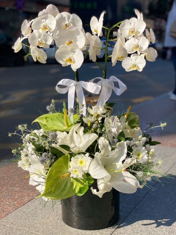 Beyaz Vip Orkide
